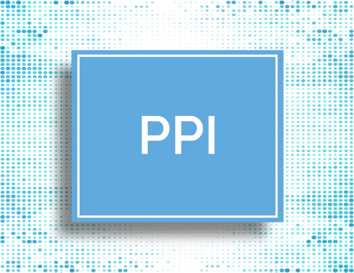  PPI