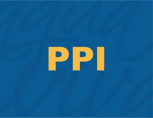  PPI